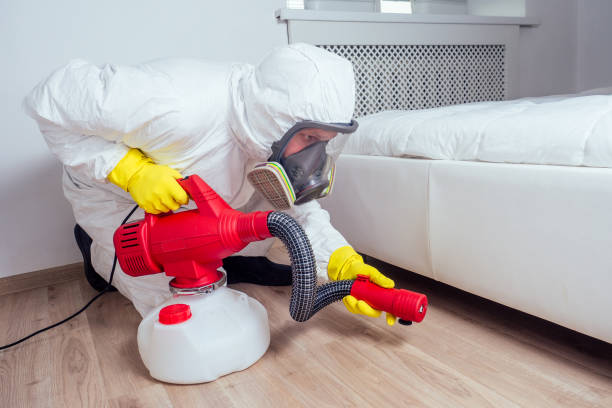 Best Pest Removal Services  in Wood Dale, IL