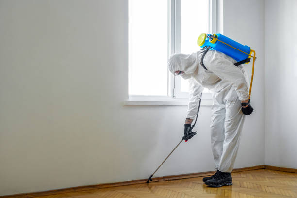 Best Mosquito Control Services  in Wood Dale, IL