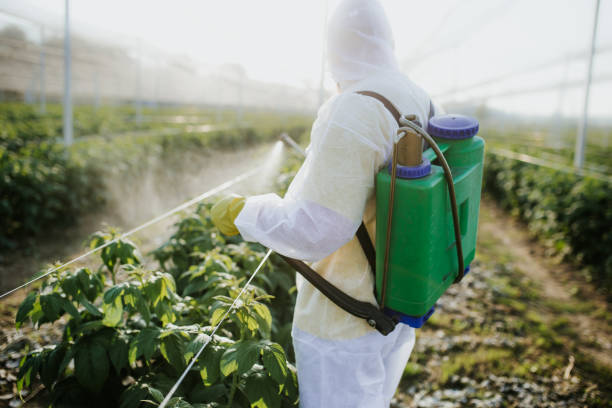 Best Best Pest Control Companies  in Wood Dale, IL